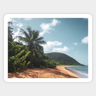 Tropical Island Beach With Palm Trees Sticker